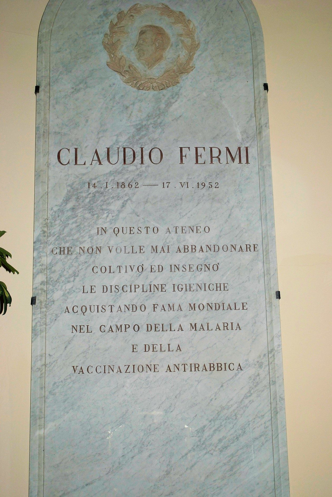 Claudio Fermi(1).jpg